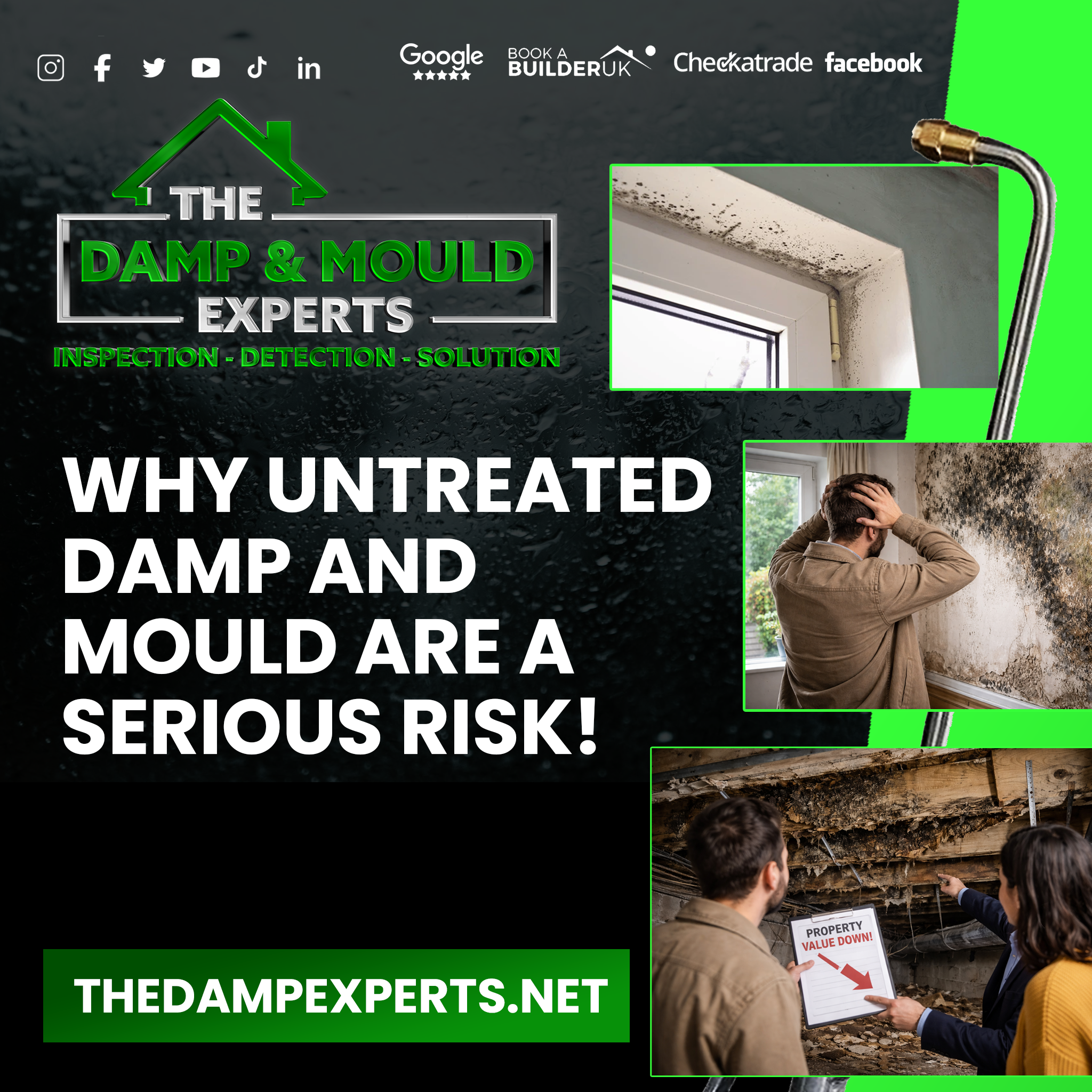 Why Untreated Damp and Mould Are a Serious Health and Property Risk