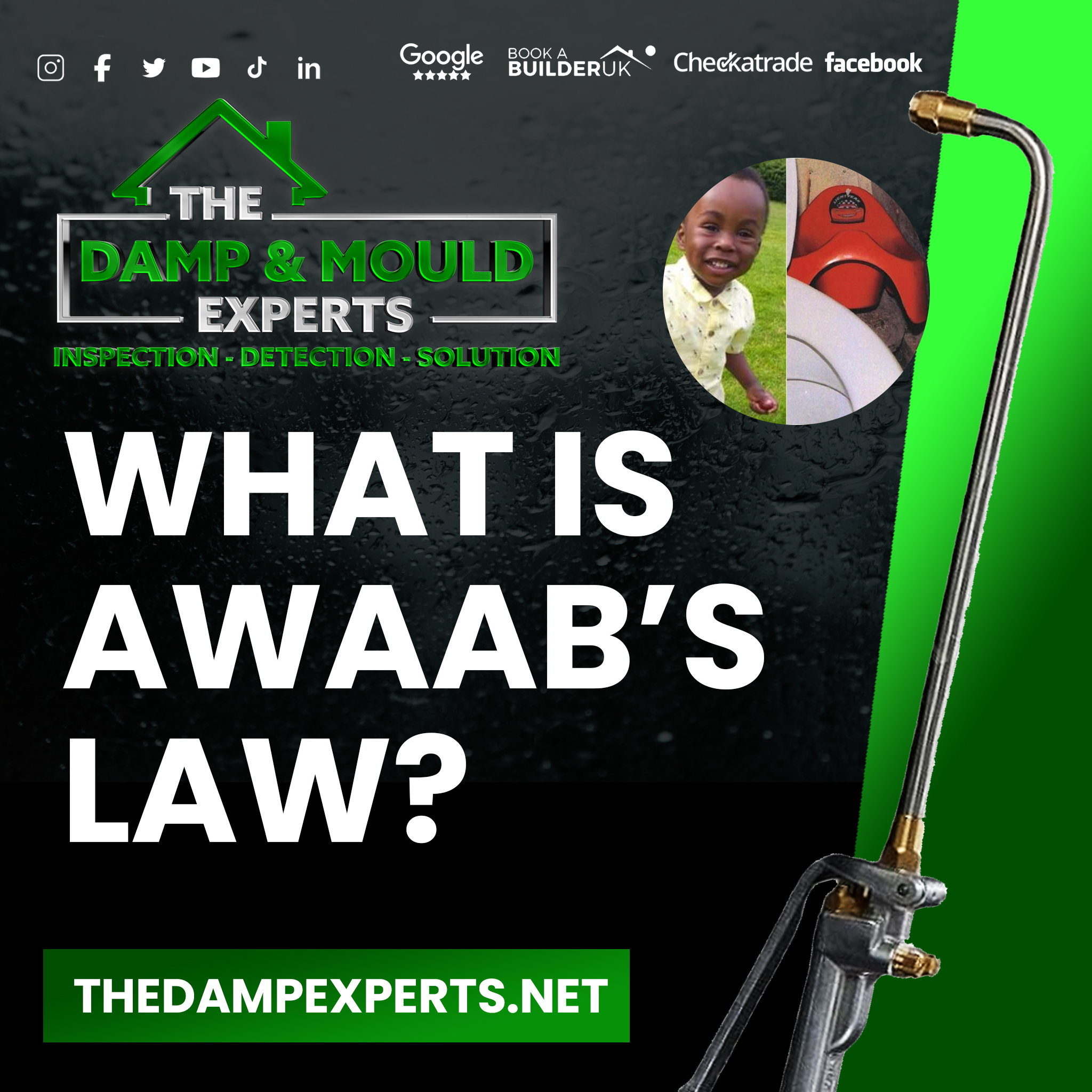 Awaab’s Law and What it Means for Damp and Mould